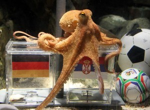 2014-06-23-Paultheoctopus.jpg