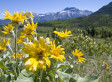 2014-06-24-sWATERTONNATIONALPARKsmall.jpg