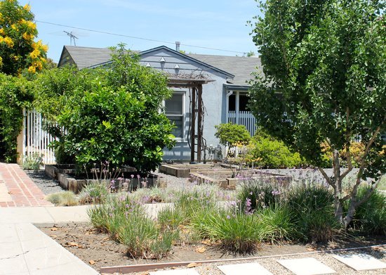 2014-06-26-LA_Xeriscape.jpg