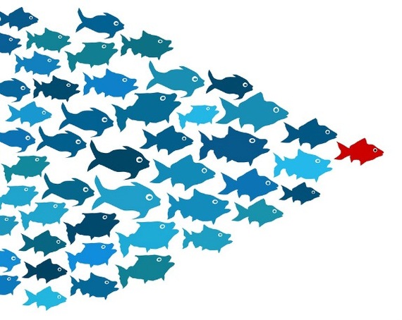 2014-06-26-redfish.jpeg