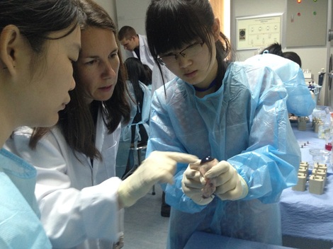 2014-06-27-HSIIIVSInVitroTrainingChina2014Small.jpg