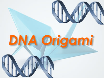 2014-06-29-DNAOrigami_0.jpg