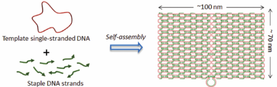 2014-06-29-DNAOrigami_2.png