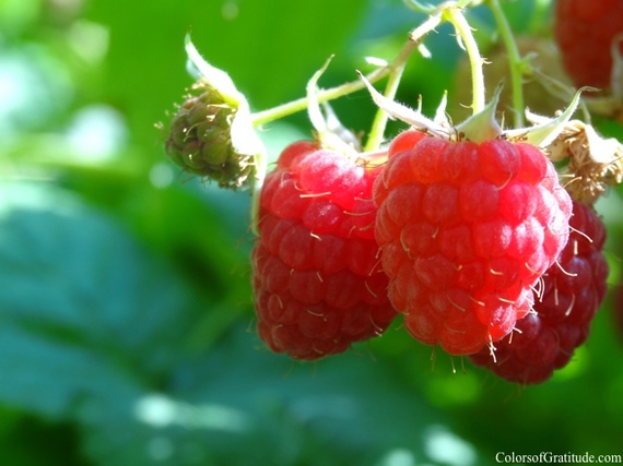 2014-06-29-itllbegrand_freshraspberries.jpg