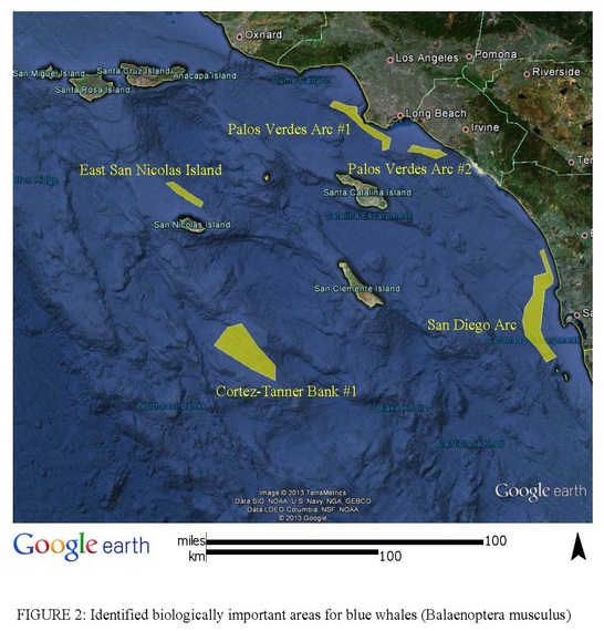 2014-07-01-Figure2Identifiedbiologicallyimportantareasforbluewhales.jpg