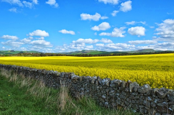 2014-07-01-SpringinEngland.JPG