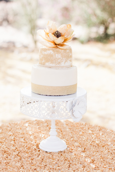 2014-07-02-whatadayweddingsdinaremistudios.jpg