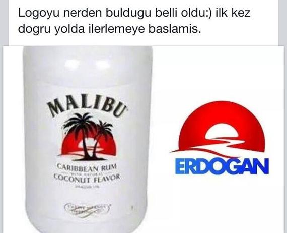 2014-07-08-malibuerdogan.jpg