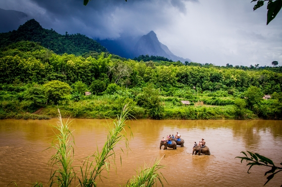 2014-07-09-KipPatrickElephantsinLaos.jpg