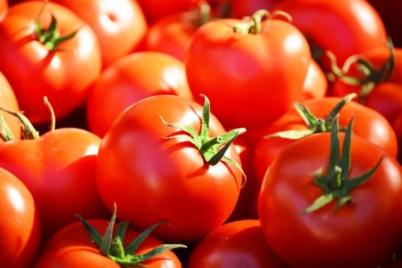 2014-07-17-Tomatoes.jpg