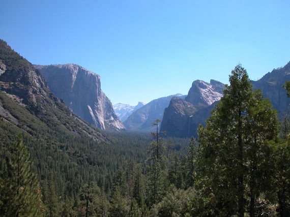 2014-07-18-YosemiteEarthDrReeseHalter.JPG