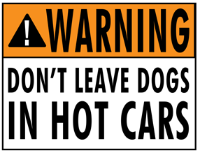 2014-07-22-dogsinhotcars1left.png