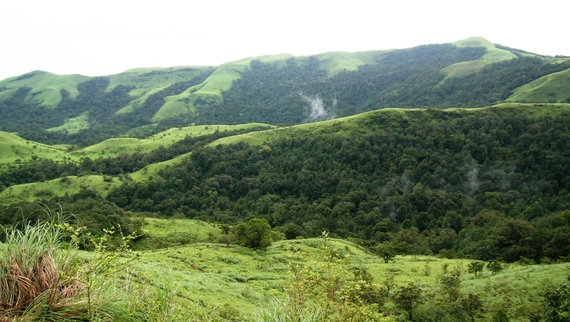 2014-07-23-WesternGhats_RohitRaocropped.jpg