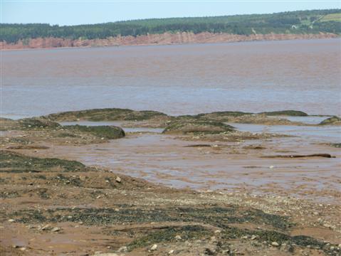 Chasing the World's Highest Tides in the Bay of Fundy: Canadian