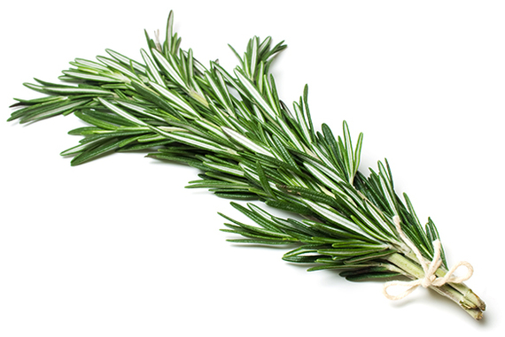 2014-07-24-Rosemary.jpg