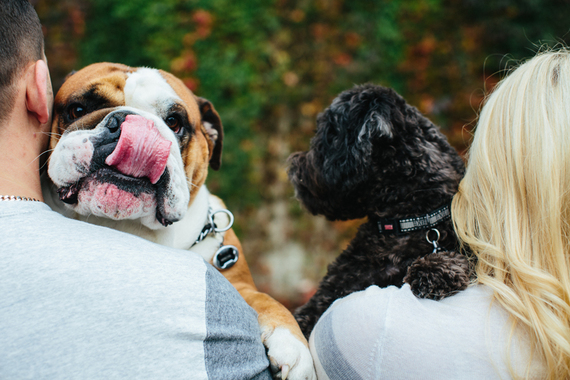 2014-07-27-TraceyBuycesaratogaengagementphotoswithdogs65.jpg