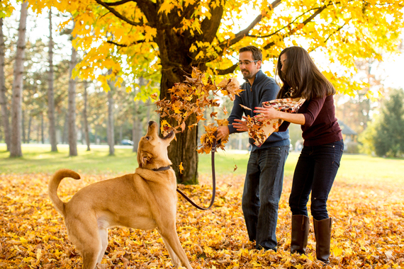 2014-07-27-TraceyBuyceweddingdogs36.jpg