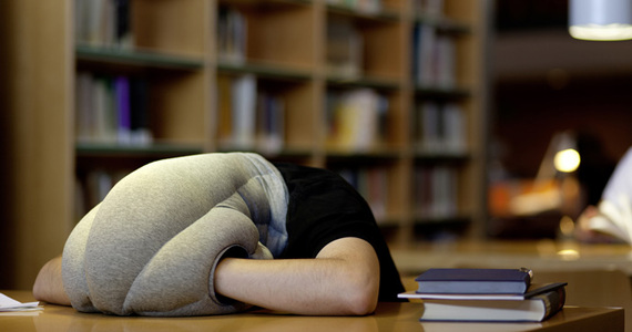 2014-07-29-OstrichPillow.jpg