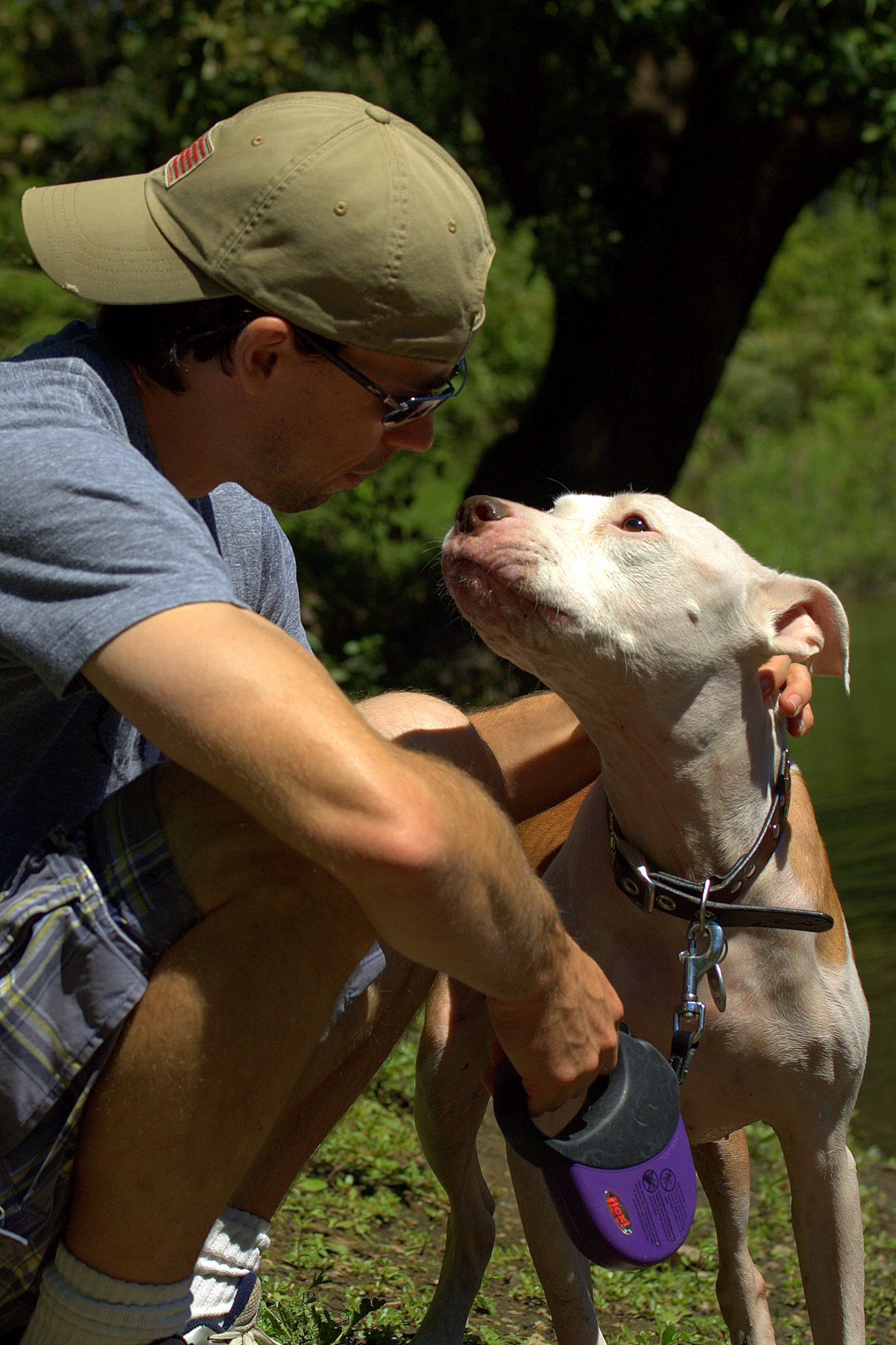 2014-07-30-pitbull.jpg