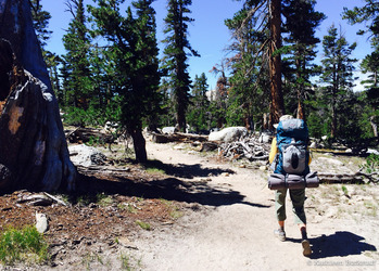 2014-07-31-yosemite7.jpg