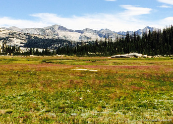 2014-07-31-yosemite8.jpg