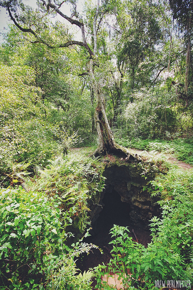 2014-08-01-Above_Cave.jpg