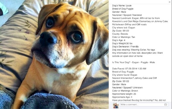 2014-08-01-lostdogreport.jpg