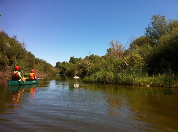 2014-08-08-LARiverBirdsandBoat.jpg