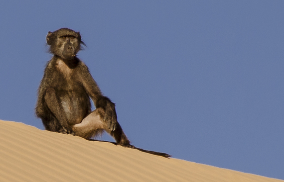 2014-08-08-MSissonsNamibia13.jpg