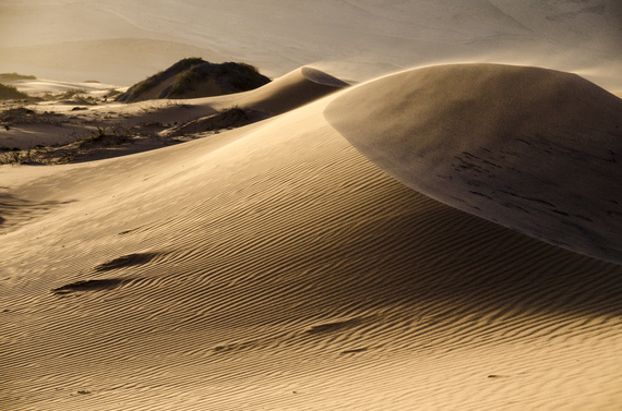 2014-08-08-MSissonsNamibia4.jpg