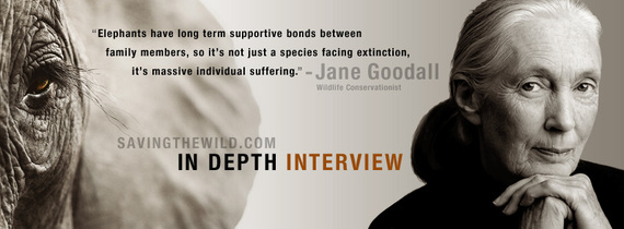 2014-08-08-fbcover_jane_goodall.jpg