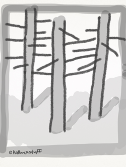 2014-08-12-forest.png