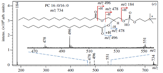 2014-08-13-140813_chem_07.png