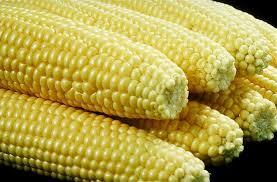 2014-08-25-corn.jpg