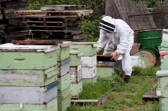 2014-08-30-MarhallsFarm.jpg