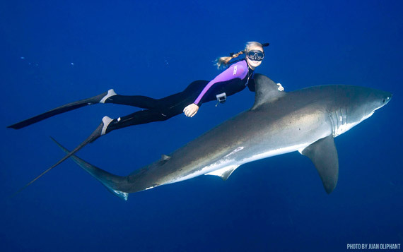 2014-09-04-OceanRamsey_sharkride.jpg