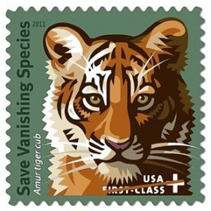 2014-09-05-amur_tiger_stamp.1_330300x300.jpg