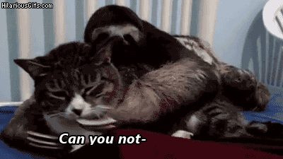 2014-09-10-NoTears.gif