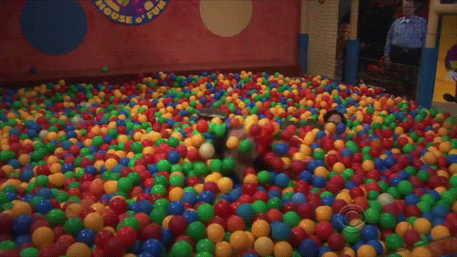 2014-09-10-Sheldon.gif