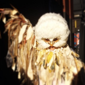 2014-09-10-owl4.jpg