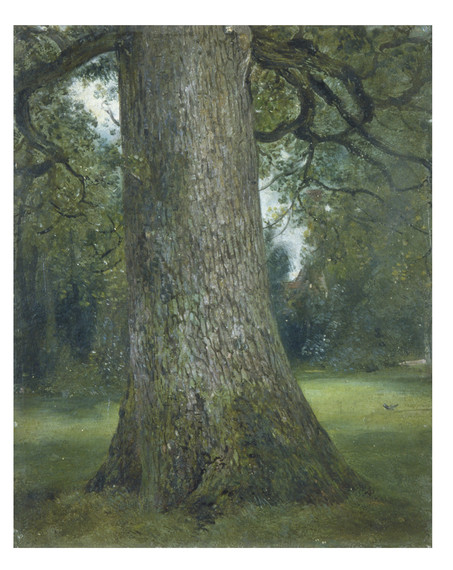 2014-09-17-9.Study_of_the_Truck_of_an_Elm_Tree_c.1824_c_Victoria_and_Albert_Museum_London.jpg