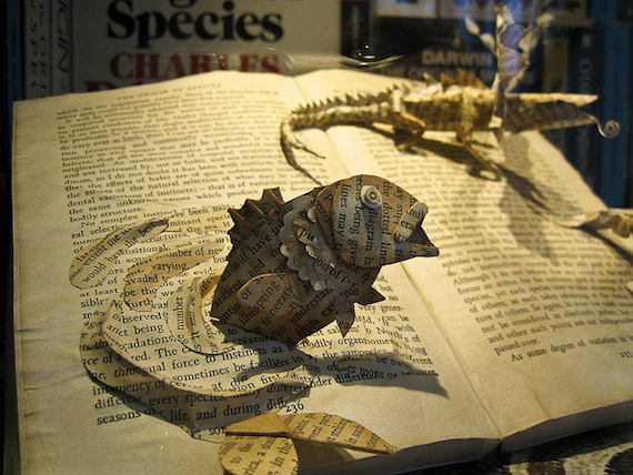 2014-09-19-originofspecies.jpg