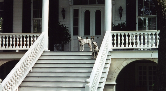 2014-09-22-Beaufortdogsonporch.JPG