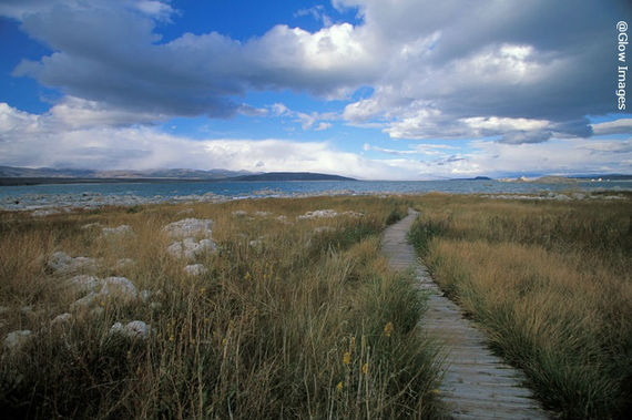 2014-09-22-BoardwalkthroughGrassbyWaterformatted.jpg