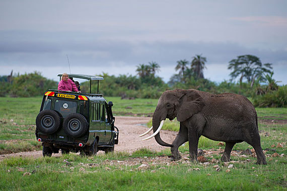 2014-09-22-safariinKenya570px.jpg