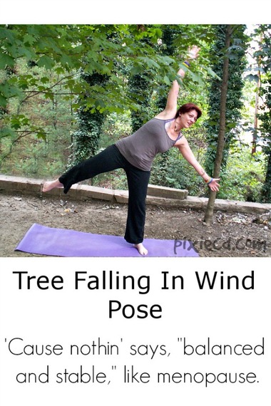 2014-09-26-YOGA550treefallinginwindpose.jpg