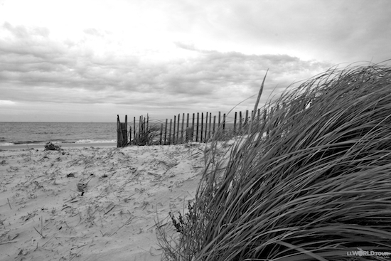 2014-09-28-CapeCod198.jpg