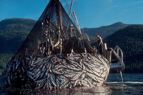 2014-10-02-FishingBoat.jpg