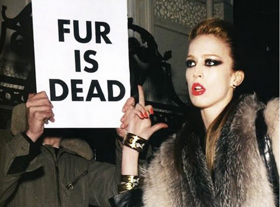 2014-10-03-fur_is_dead.jpg