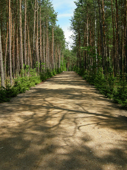 2014-10-04-Sobibor3.jpg